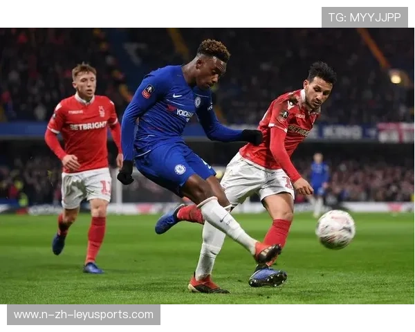 奥多伊突破造点，森林取得领先——一场精彩绝伦的比赛